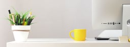 ¿Cómo elegir decoración de oficina?