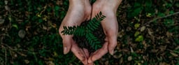 Consejos para una oficina eco-friendly