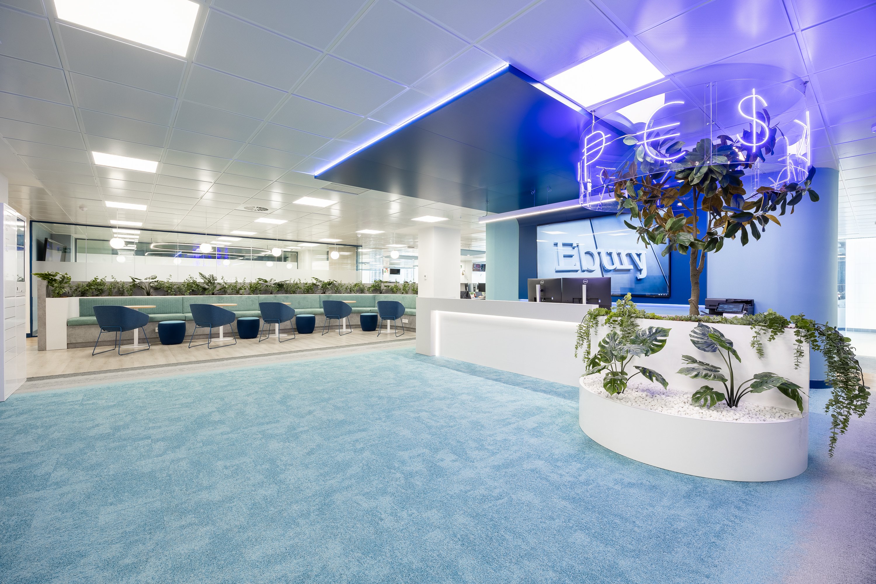 Grupo Cador, nominado en los AEO Awards 2024 por Ebury